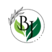 Organic herbal oil logo - natural skincare brand